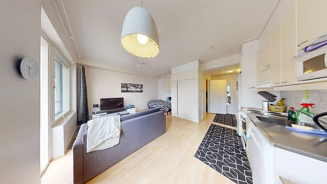 Väylätie 46, 1h+kk+s+p, 33 m², 1.6.