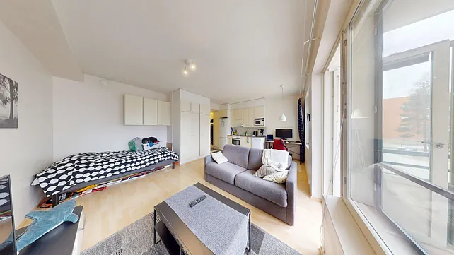 Väylätie 46, 1h+kk+s+p, 33 m², 1.6.