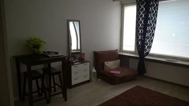 Valtakatu 30, 1h+kk, 28,0 m², 1.4.