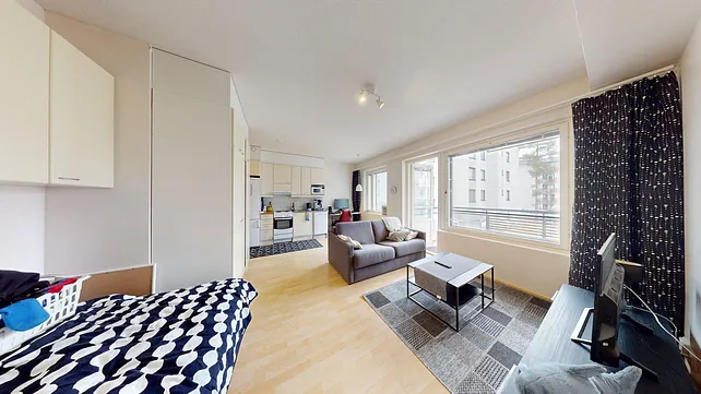 Väylätie 46, 1h+kk+s+p, 33 m², 1.6.