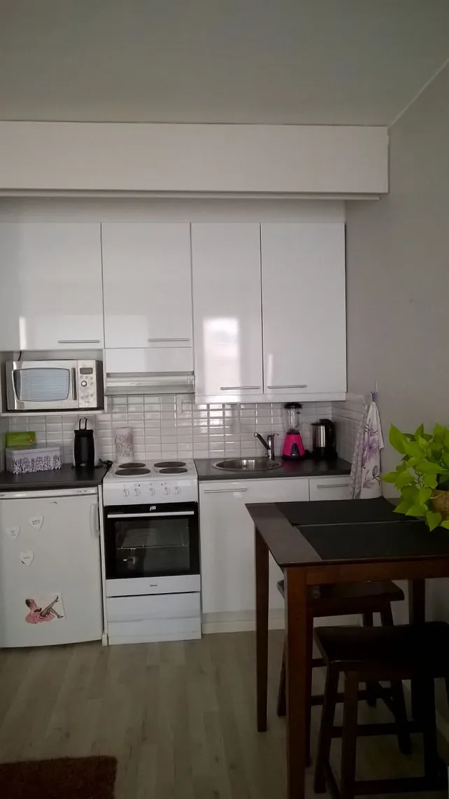 Valtakatu 30, 1h+kk, 28,0 m², 1.4.