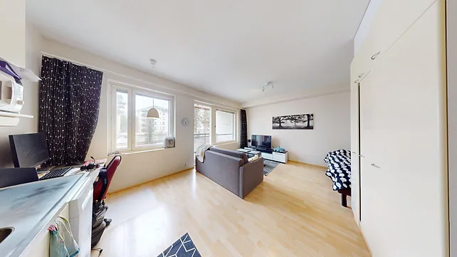 Väylätie 46, 1h+kk+s+p, 33 m², 1.6.