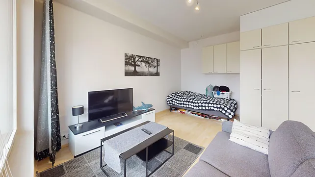 Väylätie 46, 1h+kk+s+p, 33 m², 1.6.