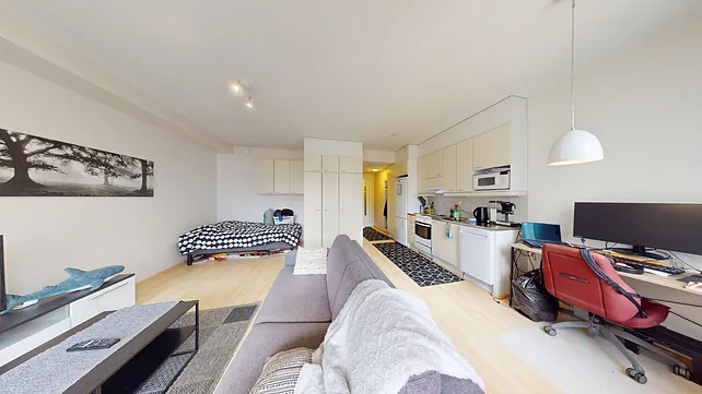 Väylätie 46, 1h+kk+s+p, 33 m², 1.6.